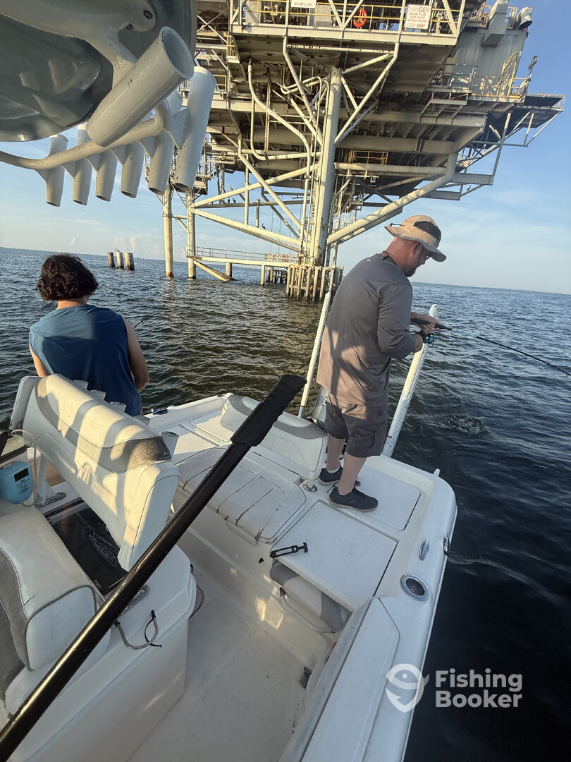 Dauphin Island Report Photo 0