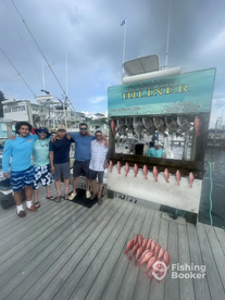 Beautiful weather and big Triggerfish!