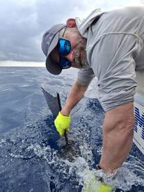 Herradura Report Photo 2