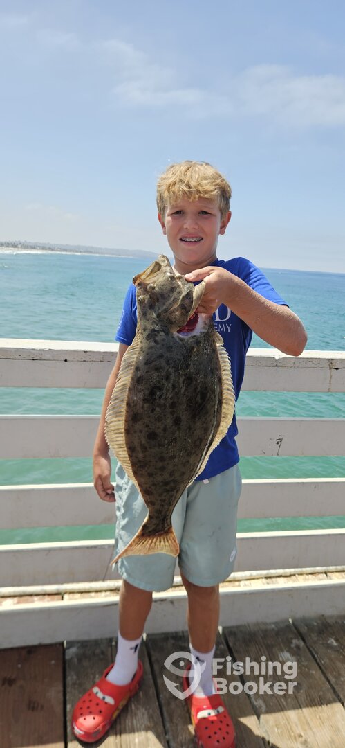 California Halibut