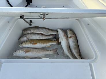 San Leon Report Photo 1