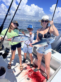 Miami Report Photo 2