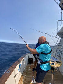 Olhão Report Photo 2