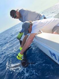 Herradura Report Photo 1