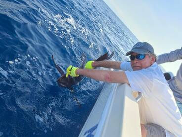 Herradura Report Photo 2