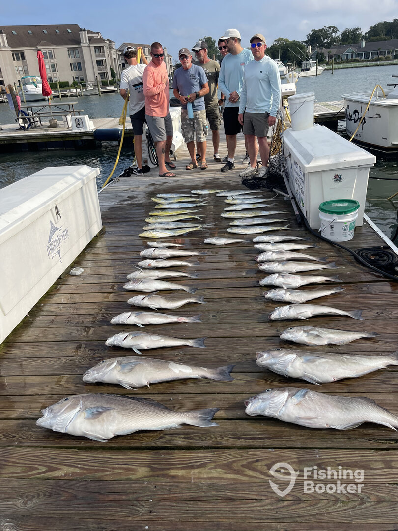 Fisherman's Wharf Marina Report Photo 0