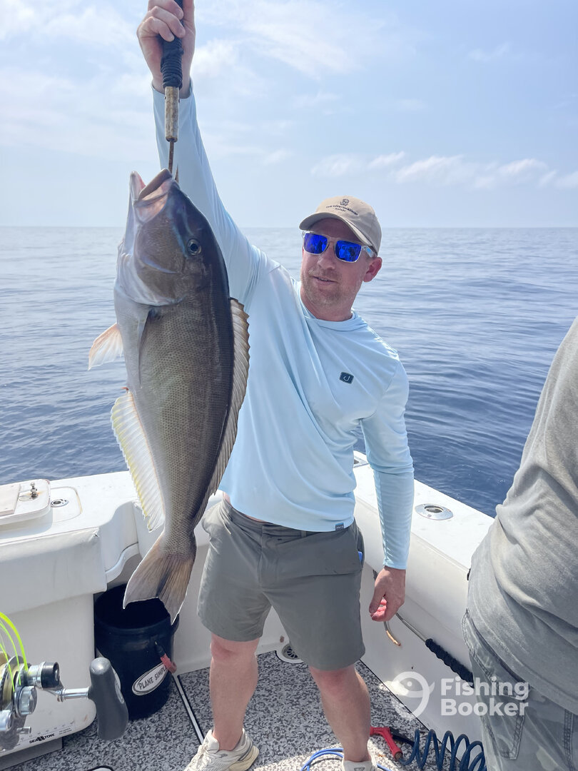 Virginia Beach Report Photo 0