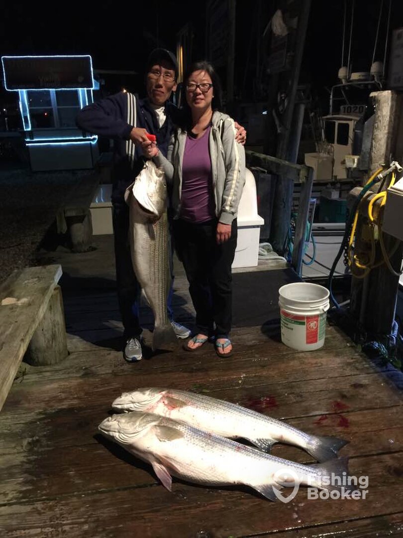 Montauk Report Photo 0