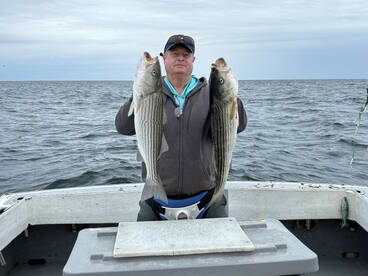 Provincetown Report Photo 4