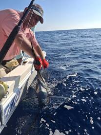 Herradura Report Photo 2