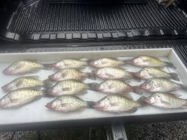 Sand Springs Report Photo 2