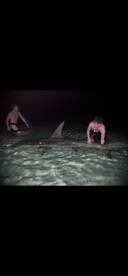 13 foot hammerhead from this week