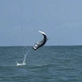 Great morning with tthe 'Poons. 