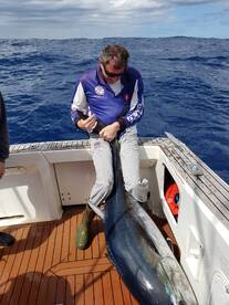 Sydney Report Photo 1