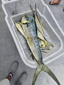 Mahi action is hot!!