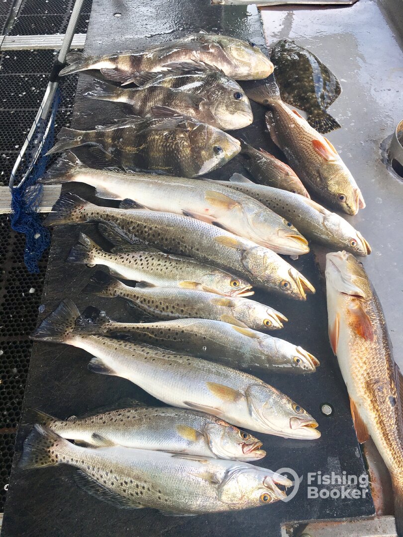 Lake Charles Report Photo 0