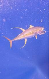 Schools back in session!!