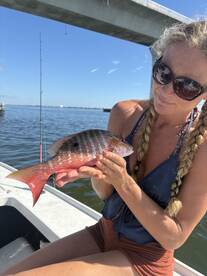 School is Back in Session, but the fish 