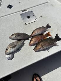 Stuart Report Photo 2