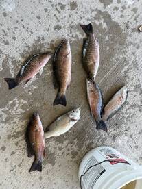 Stuart Report Photo 1