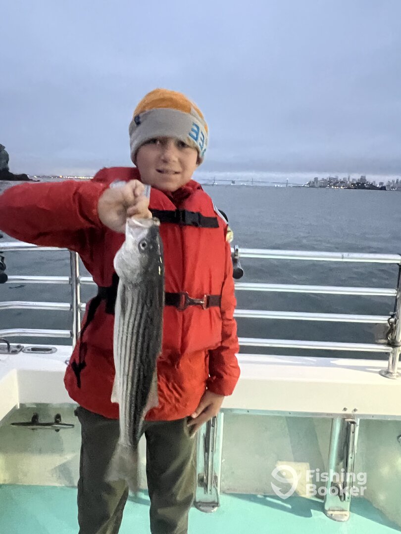 San Francisco Report Photo 0