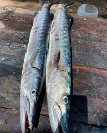 Playa Del Carmen Report Photo 2