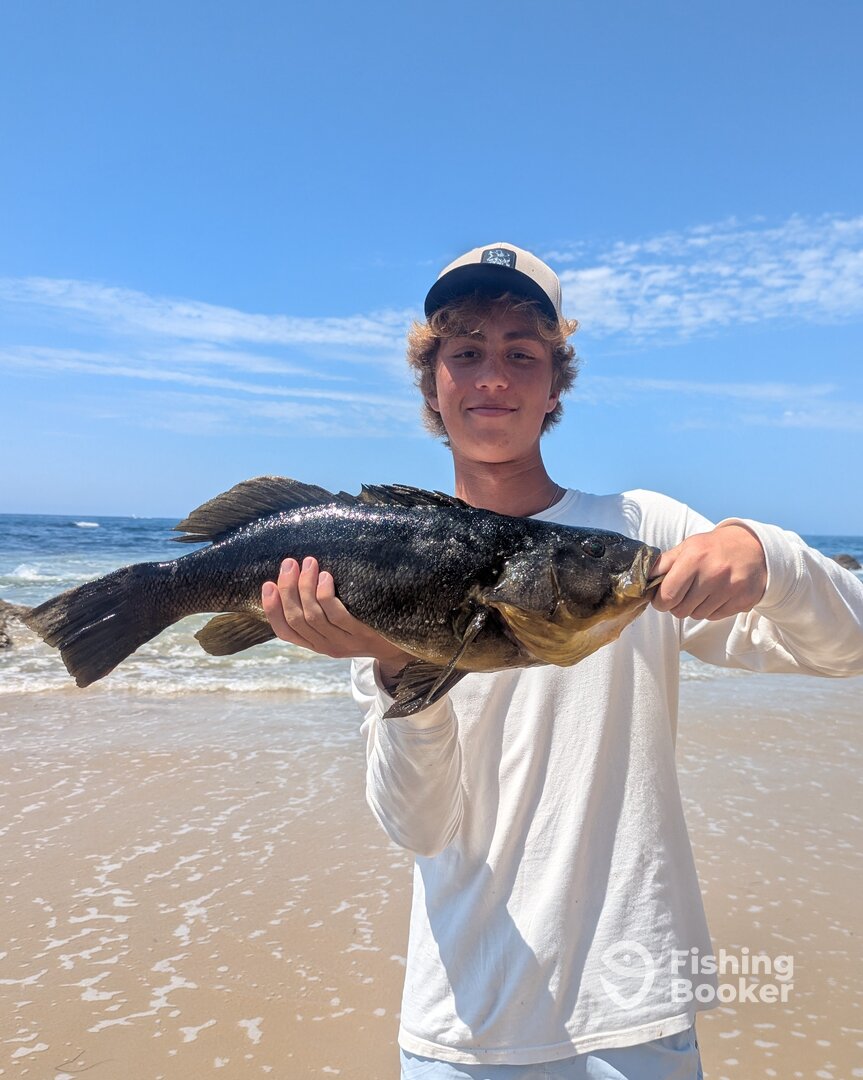 Malibu Report Photo 0