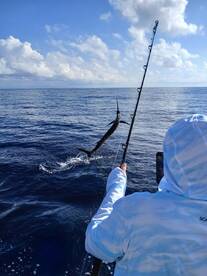 Herradura Report Photo 1