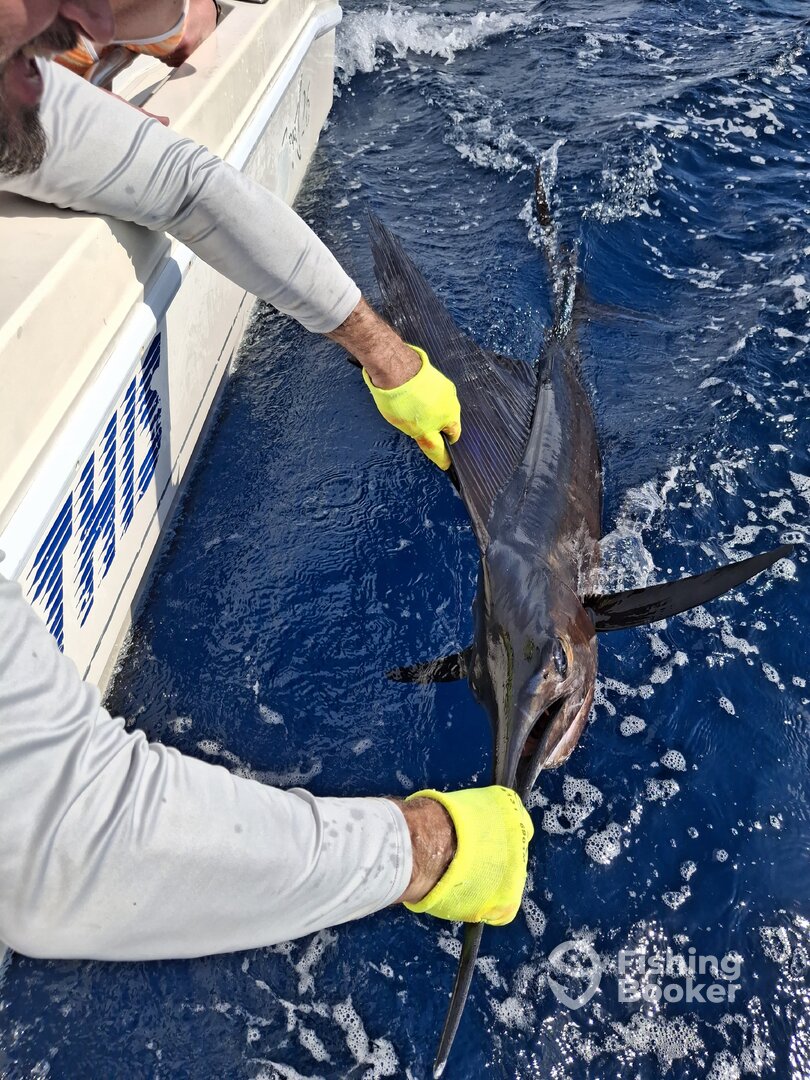 Herradura Report Photo 0