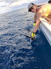 Herradura Report Photo 2