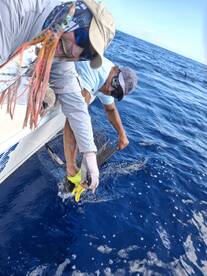 Herradura Report Photo 1