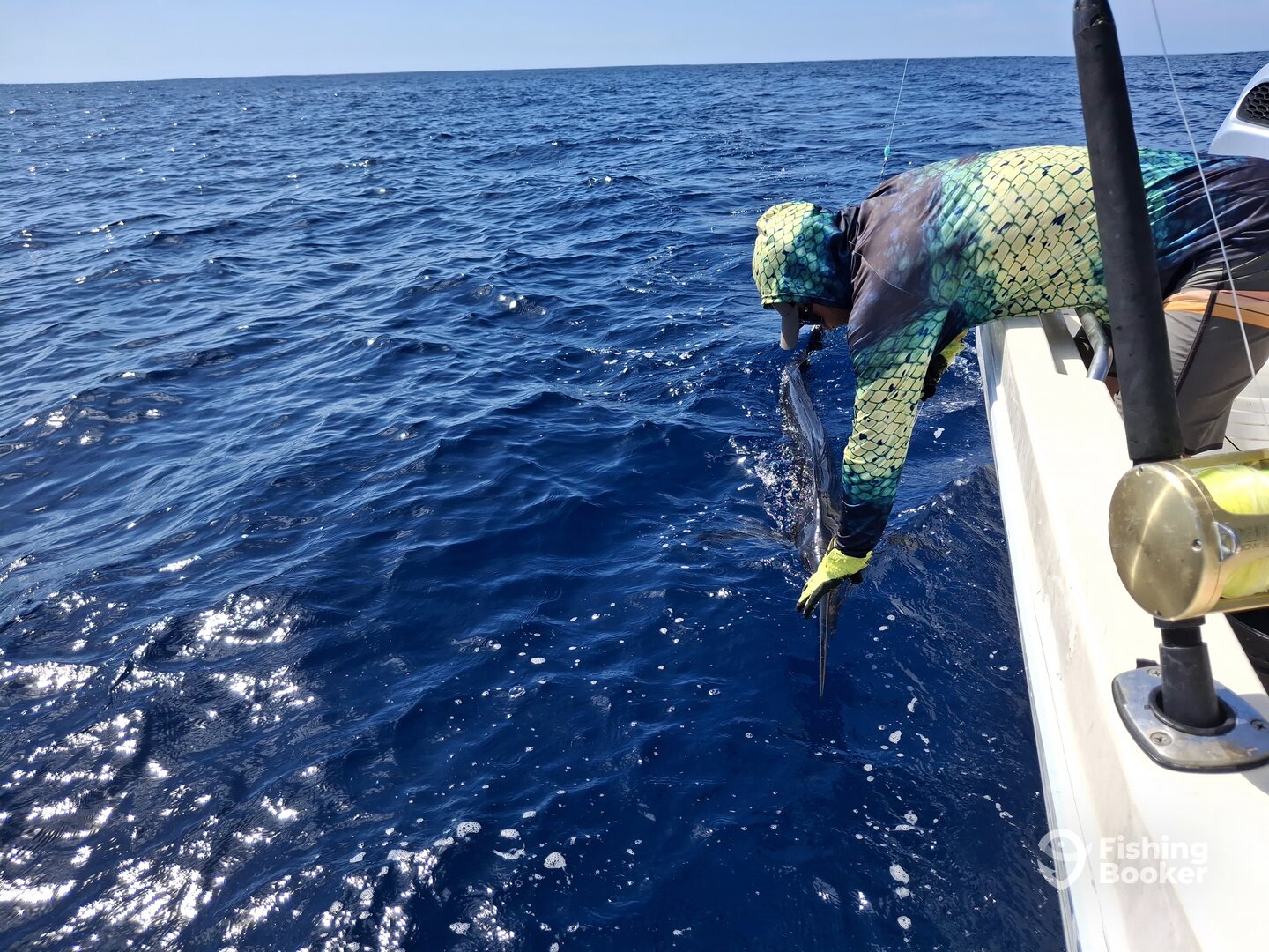 Herradura Report Photo 0