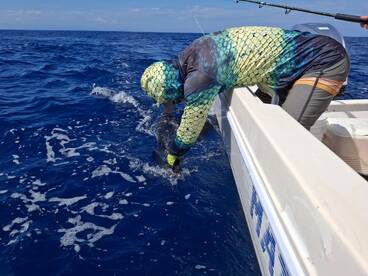 Herradura Report Photo 1