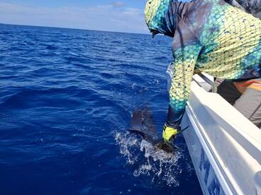 Herradura Report Photo 2