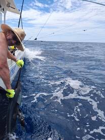 Herradura Report Photo 2