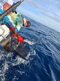 Herradura Report Photo 1