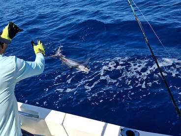 Foto Report Herradura 1