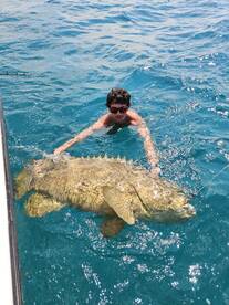 Trophy Goliath grouper 