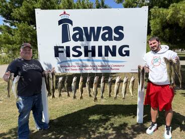 The Dog Days of Summer