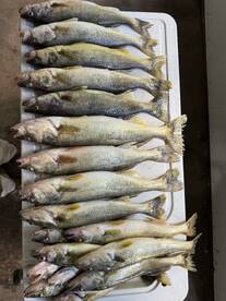 East Tawas Report Photo 3