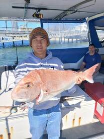 What a ripper couple of weeks its been  