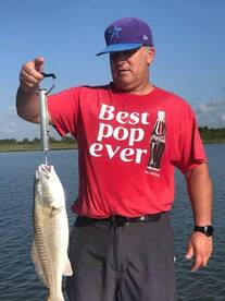 Houston Report Photo 1