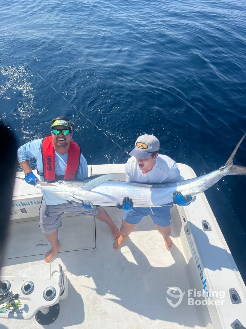 Tavira Report Photo 0