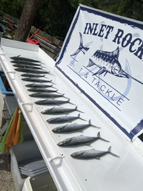 2hr Mackerel Fishing