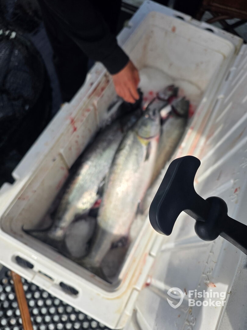 Ucluelet Report Photo 0