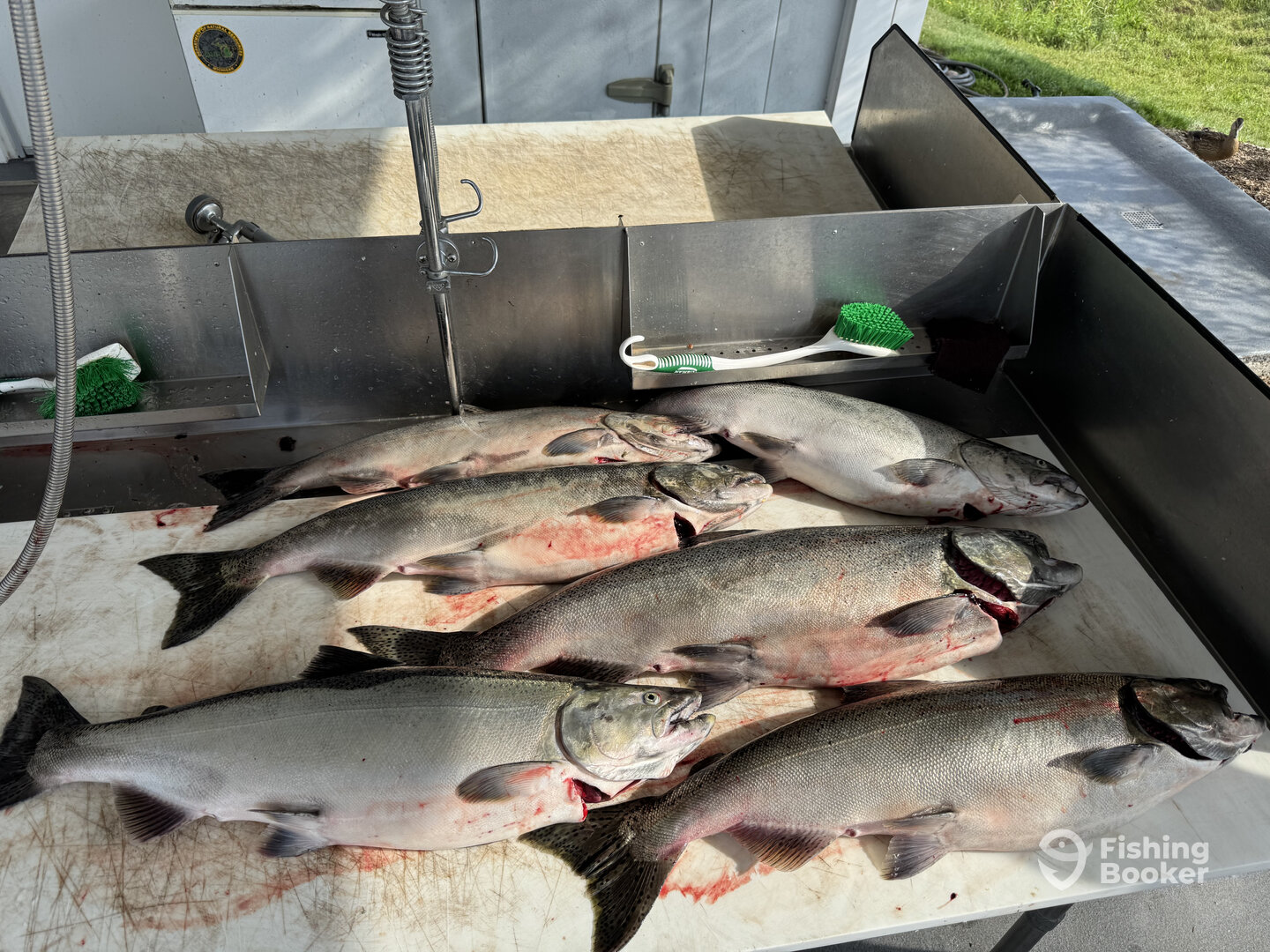 Traverse City Report Photo 0