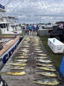 Marlins and mahi’s today 