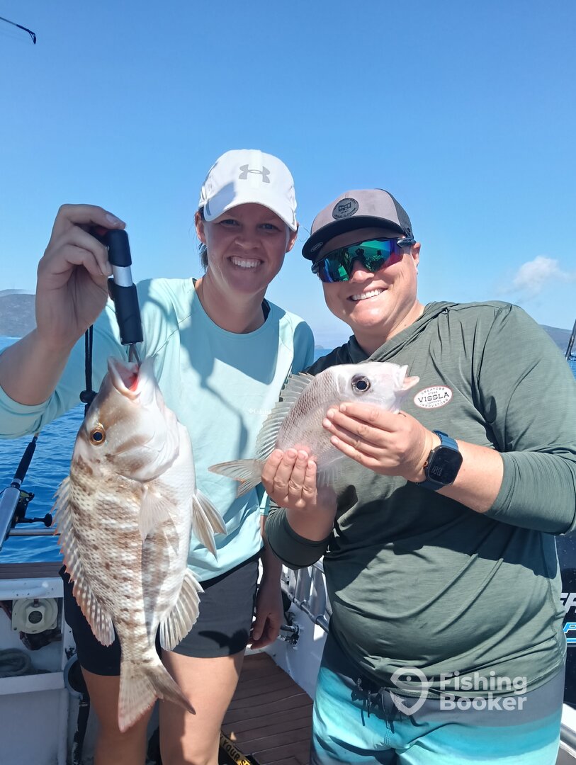 Airlie Beach Report Photo 0