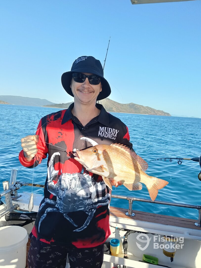 Airlie Beach Report Photo 0