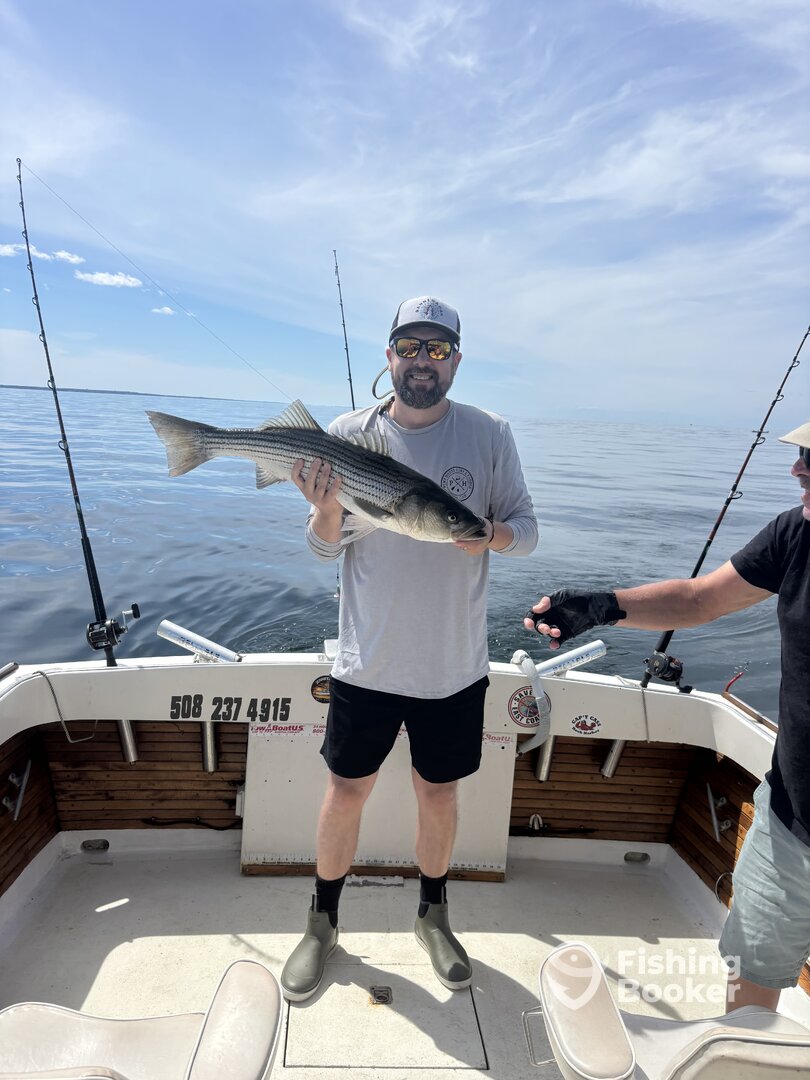 Eastham Report Photo 0